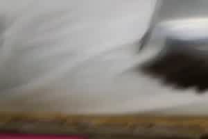 现在学生真早熟 动不动就抠抠下体逼  背景图片