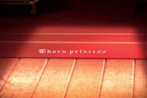 【SPY×FAMILY间谍家家酒】 约儿·佛杰内射杀手人妻+扶他版本  背景图片