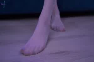 仙女堕落坠入性爱地狱 cos完整版  背景图片