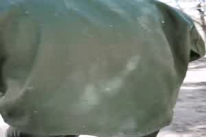 关爱流浪汉，可惜年纪大了不太行了  背景图片