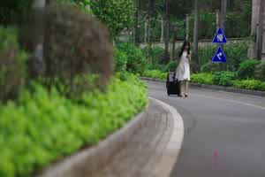 眼镜美女秘书  背景图片