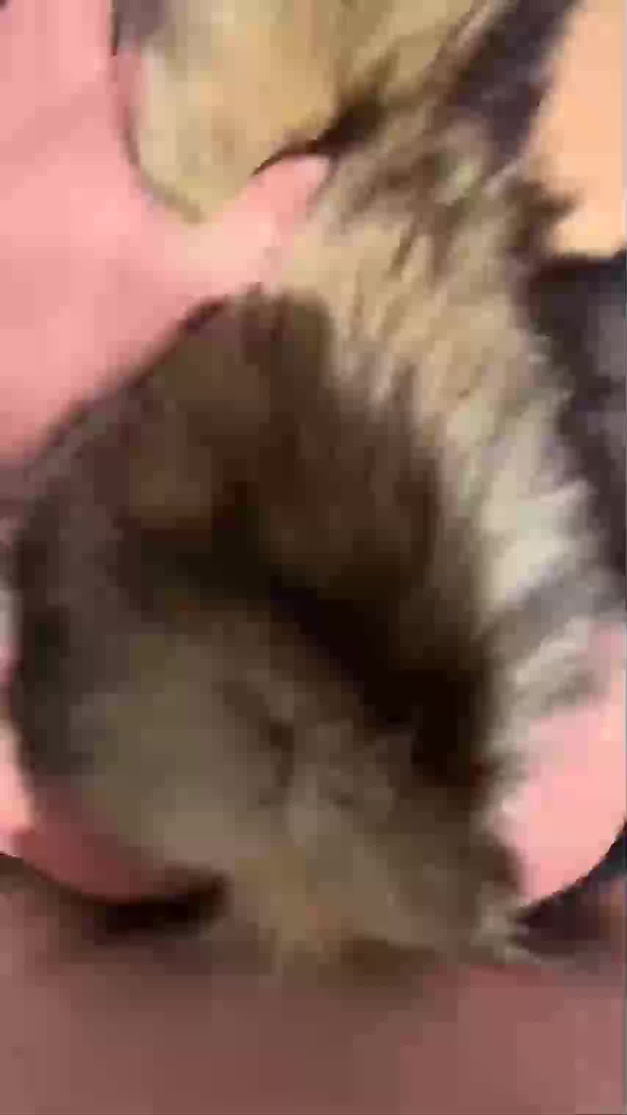  激情3P肉夹馍骚逼小骚货被两个猛男上下夹着操双洞齐插连续 的剧照1